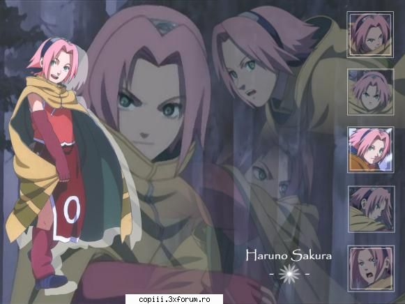 nr 1 sakura