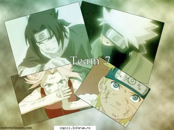 aici punem poze cu team 7 team 7